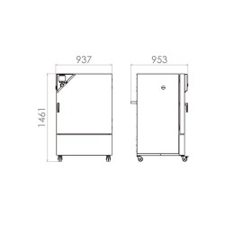 Binder KB 240 Kompresör Soğutmalı İnkübatör 247 Litre